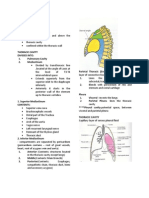 Thoracic Cavity 