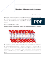 Farmacocinética I - Mecanismos de Paso A Través de Membranas