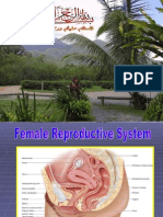 Female Reproductive System