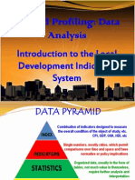 Beyond Profiling: Data Analysis: Introduction To The Local Development Indicators System