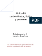 Unidad - 8 Carbohidratos Lipidos Proteinas PDF