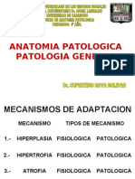 1er - PARCIAL - Anatomia - Patologica Chet