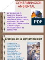 Contaminacion Ambiental