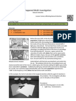 Peppered Moth Investigation