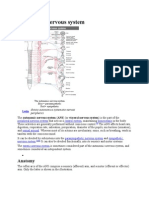 Autonomic Nervous System