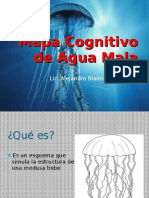 Mapa Cognitivo de Agua Mala