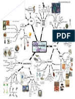 Microorganisms Mind Map