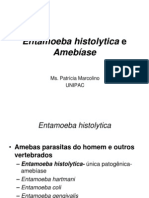 Entamoeba Histolytica e Amebíase Xerox