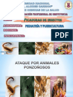 Picaduras de Insectos