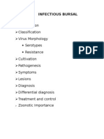 Classification Virus Morphology Serotypes Resistance Cultivation Pathogenesis Symptoms Lesions Diagnosis Differential Diagnosis Treatment and Control Zoonotic Importance