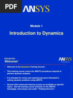 Dynamics 70 M1 Intro