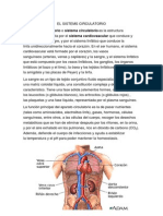 El Sistems Circulatorio