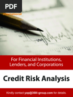 Best Practices in Credit Risk Analysis