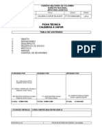 Ficha Tecnica Caldera PDF