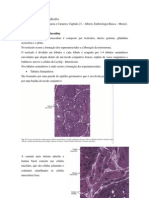 Matéria de Embriologia Comparada - Biologia Até NEURULAÇÃO