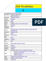 English Vocabulary