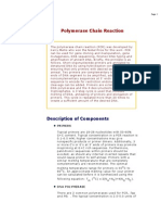 Polymerase Chain Reaction: Description of Components