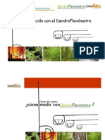 Utilizacion de Dendroflexometro