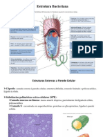 Aula 3 T Estrutura Bacteriana para Alunos
