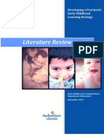 Literature Review