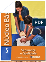 Núcleo Básico Vol.5 - Segurança e Qualidade