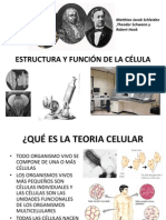 Estructura y Función de La Célula