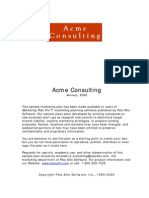 Acmeconsulting-Marketing Plan PDF