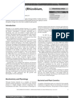 Root Nodules (Rhizobium Legumes) PDF