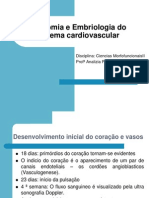 Aula 01 Anatomia e Embriologia e Fisiologia Cardiaca