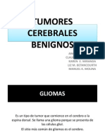 Tumores Cerebrales Benignos 1.