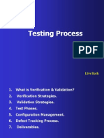 Testing Process