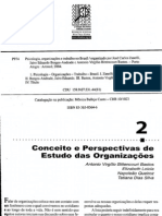 Texto 03 PTO - Conceitos e Perspectivas de Estudo Das Organizações