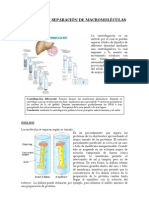 Bioquimica Tecnicas de Separacion de Macromoleculas (Cromatografia, Centrifucacion, Etc)