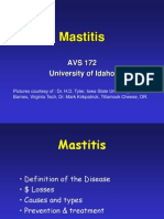 Mastitis Notes