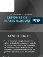 Lesiones de Partes Blandas