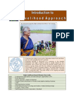 Introduction To Livelihood Framework