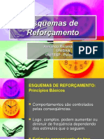 Esquemas de Reforçamento - Skinner