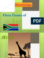 Africa Final