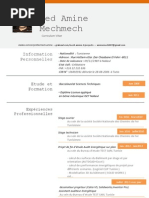 CV Amine Mech 2013