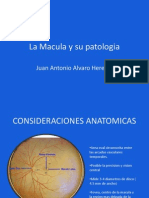 Macula y Su Patologia