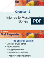 Injuries To Muscles and Bones