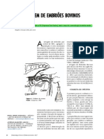 PASSAGLIA PG Sexagem Embriões Bovinos