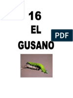 Leccion 16 Gusano