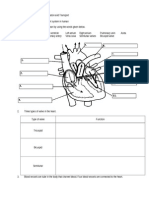 Blood Circulation and Transport Module