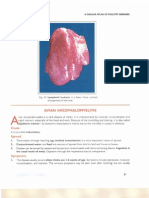 Atlas of Poultry Disease 2