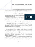 Notes On Algebras, Representations and Young Calculus