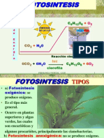 Fotosintesis 3