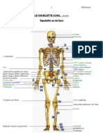 3 Ostéo Squelette Axial