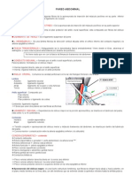 1ra Clase Abdomen - Degraba Pared Abdominal