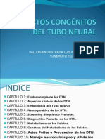 Defectos Congenitos Del Tubo Neural